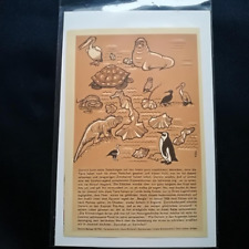 Mosaik Nr 56 BEILAGE