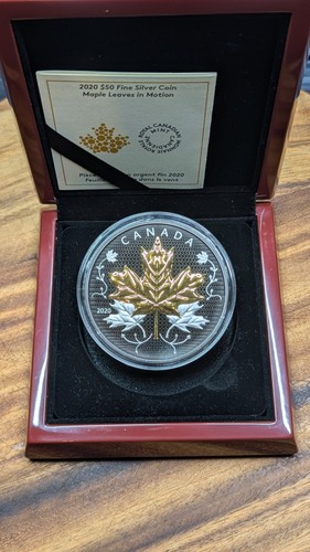 Silber dollar 2020 - 50,