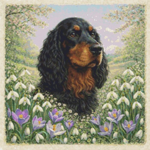 Gordon setter welpe hund - welpe, im
