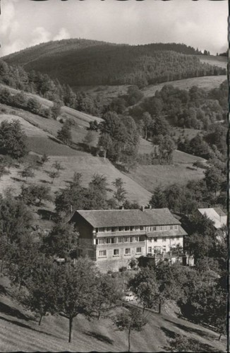 Schoenau schwarzwald aus - schoenau,