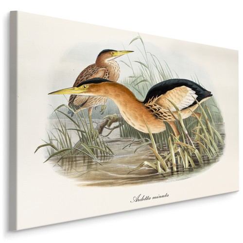 Canvas leinwand bilder xxl - leinwand,