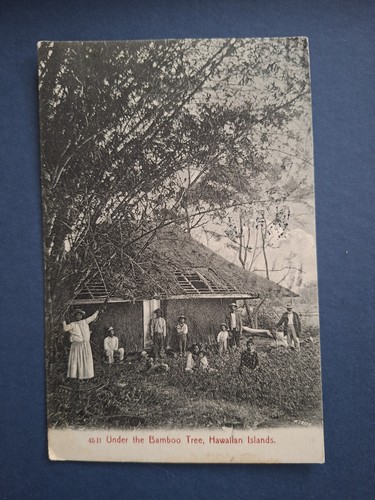 Vintage postcard hawaii - vintage,