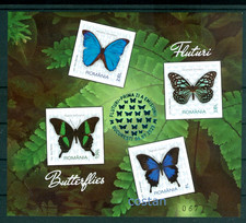 2023 Butterflies,Menelaus blue