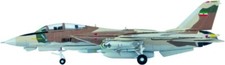 Hogan Grumman F-14A Tomcat