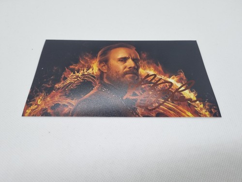 Rhys ifans signed foto 10x17 - foto,
