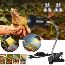 Schildkröten Wärmelampe