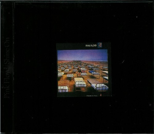 Pink floyd momentary - a,