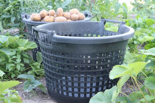 Gartenkorb 25l 35l - 5,