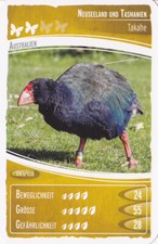 Netto     Ozeanien 2        " Wir Tauchen auf "       Sammelkarte  Nr. 083