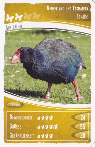 Netto ozeanien - ,