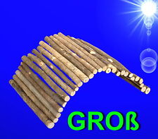 Nager 🐹🐇 NATUR