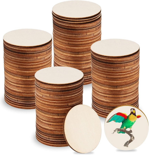 Holzscheiben set 100 stück - set,