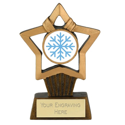 Snowflake award mini stern - award,