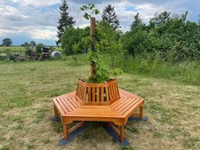 Eukalyptus eck baumbank - 6-eck,