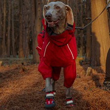 Hund Regenmantel Winddicht