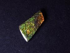 Ammolith  (Kanada)  14,2