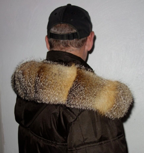Fuchs pelz kapuze kragen - fuchs, echt