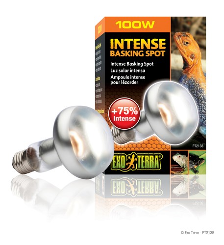 Exo terra intense - terra, spot