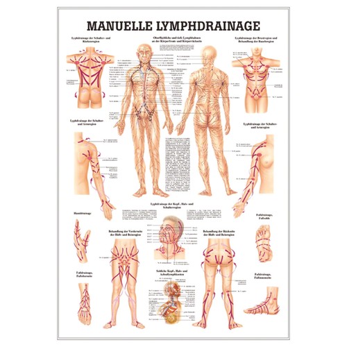 Manuelle lymphdrainage - manuelle,