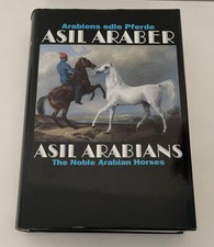 Asil araber arabiens - asil, /