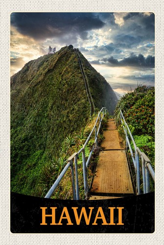 Blechschild 18x12 hawaii insel - blechschild,