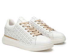 Alberto guardiani sneaker king - alberto,
