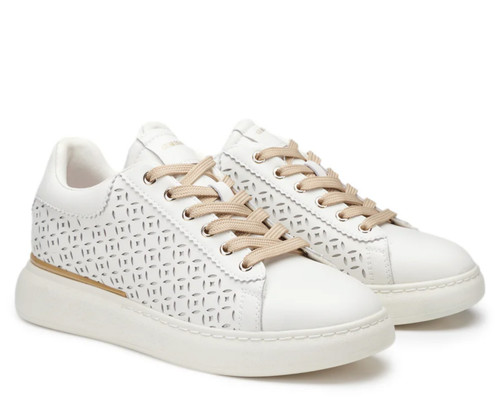 Alberto guardiani sneaker king - alberto,