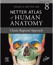 Netter atlas der menschlichen - netter,