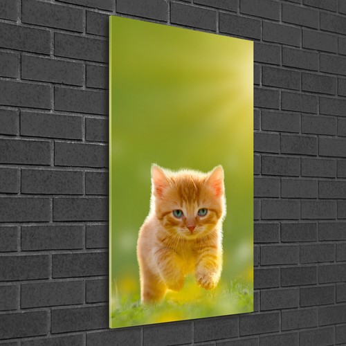 Wand bild kunstdruck aus - wand-bild,