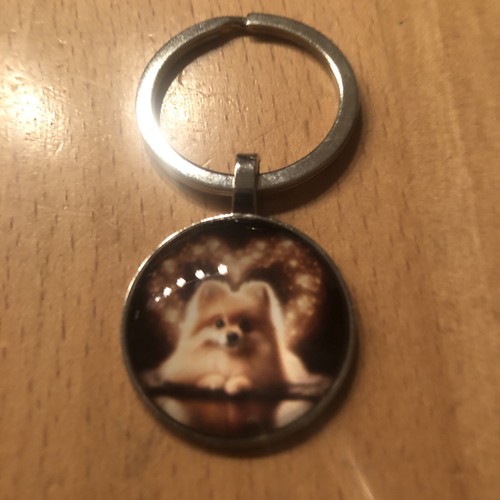 Schlüsselanhänger pomeranian - schlüsselanhänger,