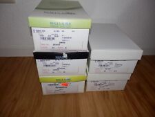 5 Paar Schuhen Waldläufer Gr