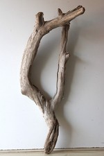 Treibholz Schwemmholz