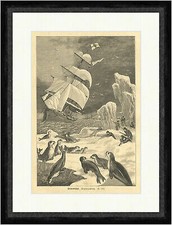 Seehundsjagd Segelschiffe Robben Jäger Eisschollen Möven Tiere  Faksimile_E 4136