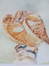 Aquarell Bild. Zwei Eulen