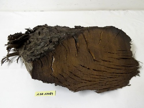 Mooreiche moorholz - mooreiche,