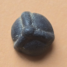 Römischer Schuhnagel, schöne Verzierung, original, 1-4 Jahrhundert nach Christus