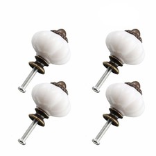 Kürbis -Plastikschrank