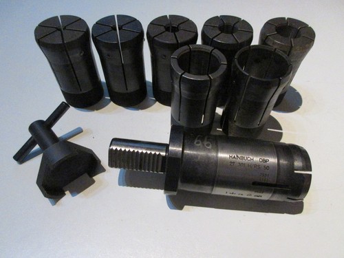 Hainbuch rs50 - 1,