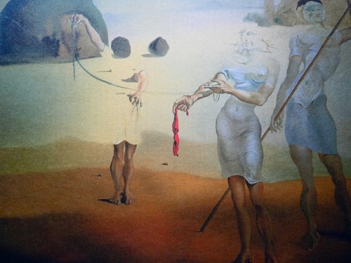 Salvador dali enchanted - -,