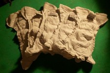 5 Lotties Öko Windeln Größe L