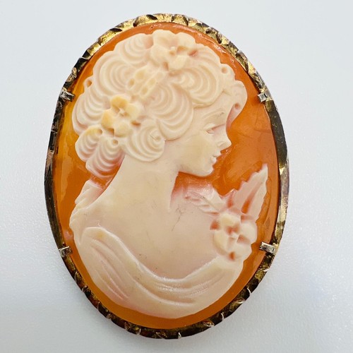 Biedermeier gemme brosche und - gemme,
