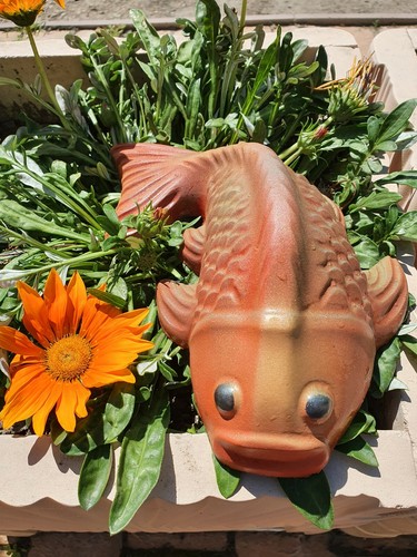 Formen fisch zum gießen von - formen,