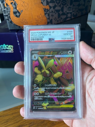 Pokemon mega lopunny 100 - pokemon,