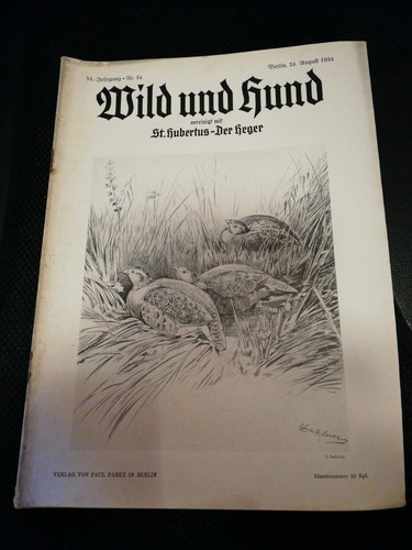 Wild und hund 34 - wild,