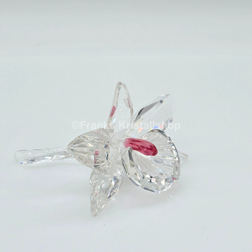 Swarovski orchidee pink - swarovski,