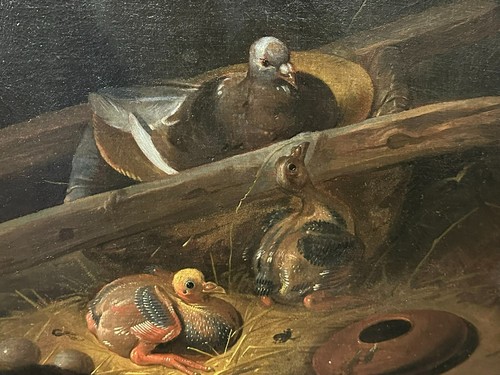 ölgemälde gemälde taube - gemälde, im