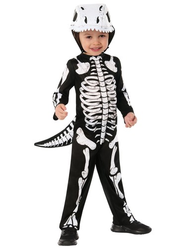 Dino skelett - dino,