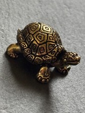 Kleine Schildkröte aus