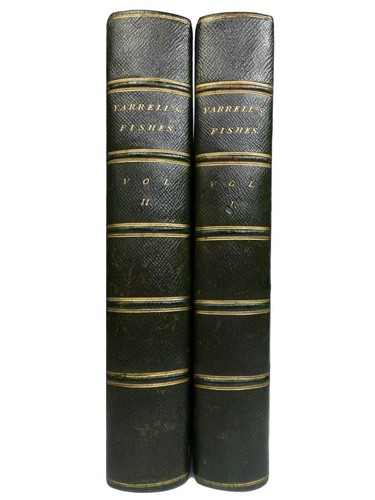 History british fishes by - a,