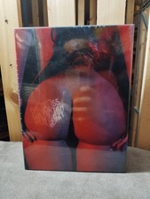 Bass Sultan Hengzt Bester Mann